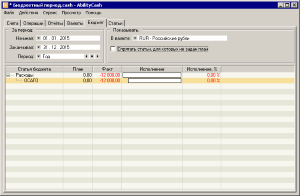 Бюджет на год